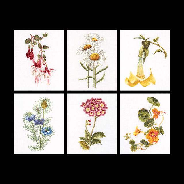 テア　グーベルヌール　クロスステッチ刺繍キット 【Six Floral Studies】中級者ー上級者向き ☆お取り寄せキット（納期は30-90日程度）アイーダ｜ダーニッシュエンブロイダリー