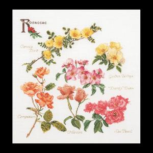 テア グーベルヌール クロスステッチ刺繍キット 【Rose Panel】中級者ー上級者向き ☆お取り寄せキット(納期は30-90日程度)アイーダ|ダーニッシュエンブロイダリー