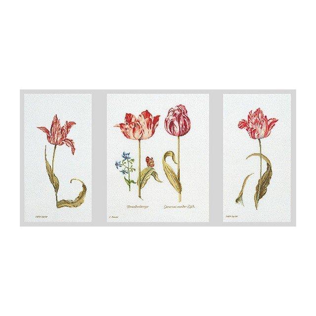 テア グーベルヌール クロスステッチ刺繍キット アイーダ【Tulips】中級者ー上級者向き ☆お取り寄せキット(納期は30-90日程度)|ダーニッシュエンブロイダリー