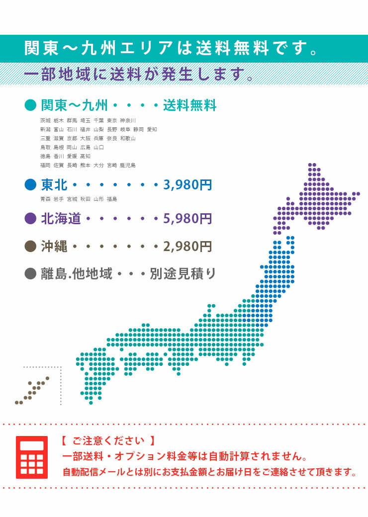 市場 最安挑戦 特許申請組立構造 3段ベット ベアーII 三段ベッド 送料無料 三段ベット 3段ベッド ロフトベッド 掘り出し品 2色対応