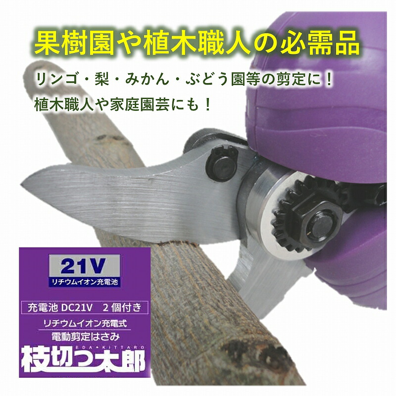 お得なでき事