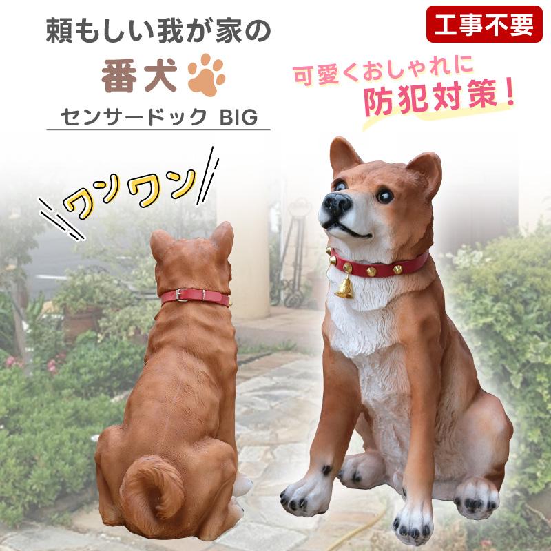 楽天市場】庭 置物 犬 ガーデンオーナメント 吠える ビッグリキ 本物