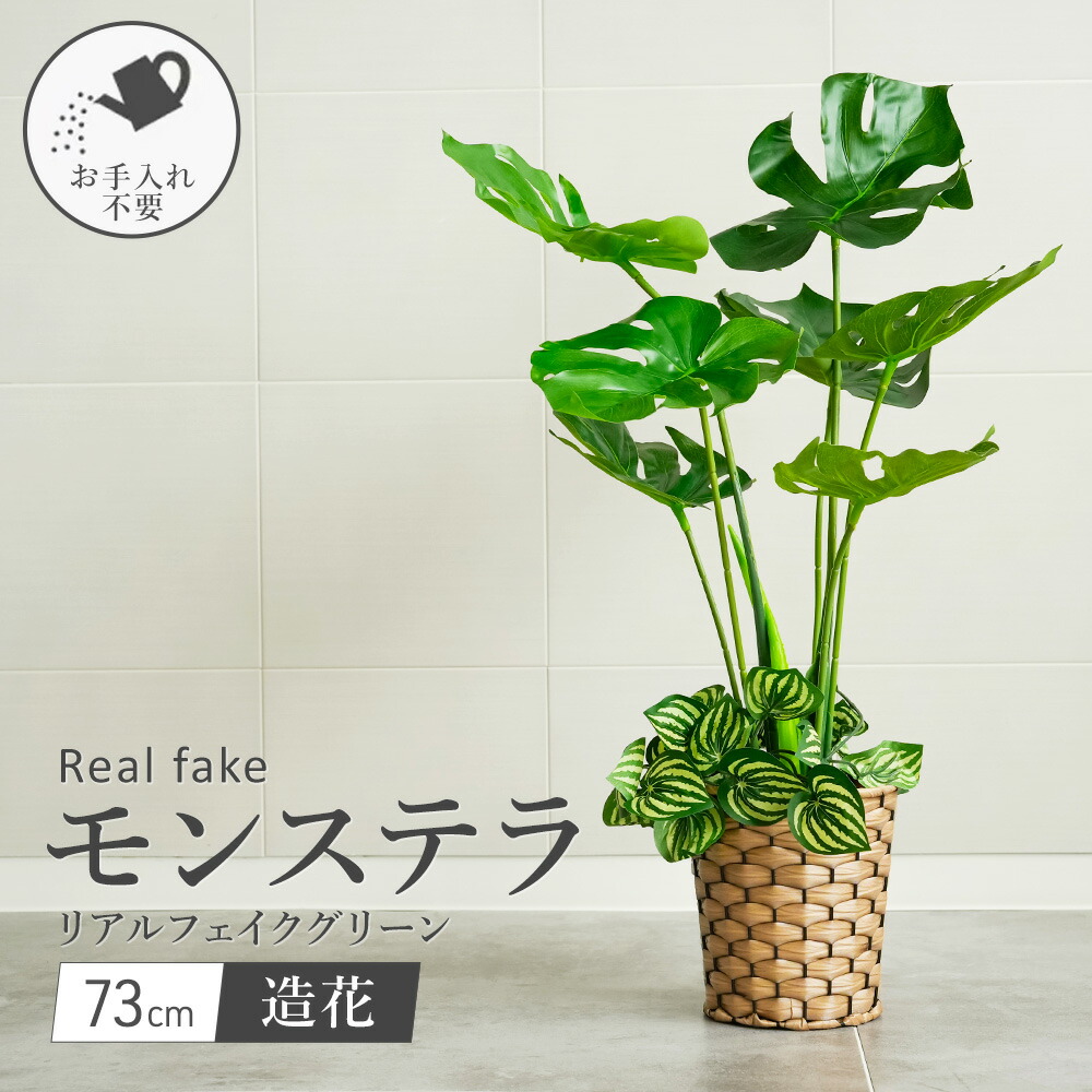 楽天市場】フェイクグリーン モンステラ 大型 73cm 人工観葉植物