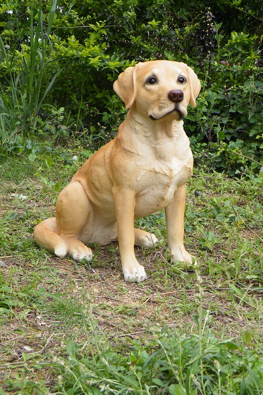 ガーデンオーナメント ラブラドール 犬 リアル 置物 庭 かわいい お座り 動物 本物そっくり オブジェ おしゃれ ガーデニング 外国風 ガーデンマスコット Prescriptionpillsonline Is