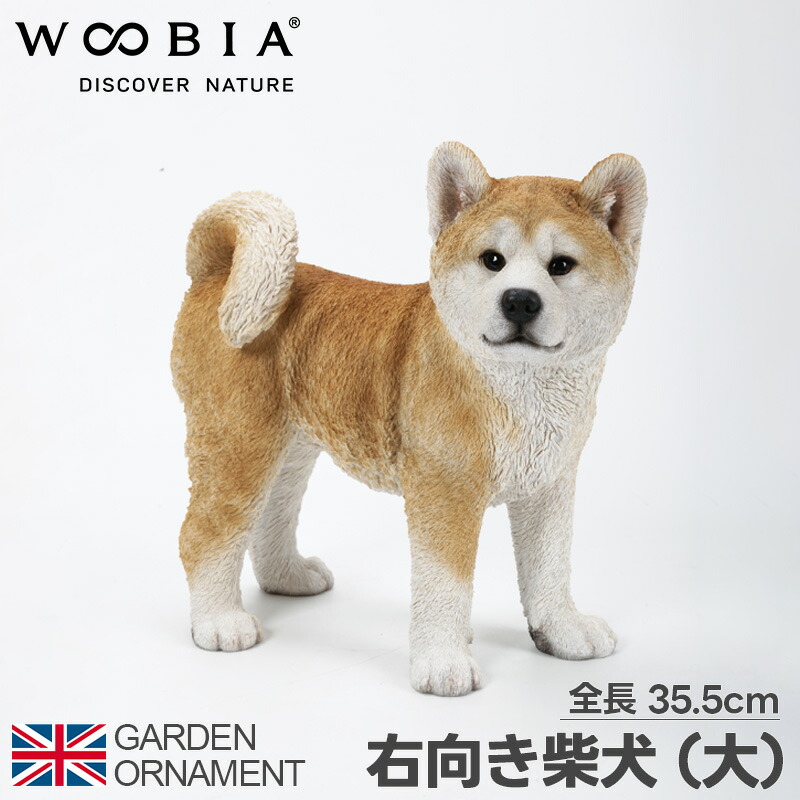 楽天市場】柴犬 子犬 犬 いぬ オブジェ オーナメント ガーデン 楽天市場】柴犬 子犬 犬 いぬ オブジェ オーナメント ガーデン