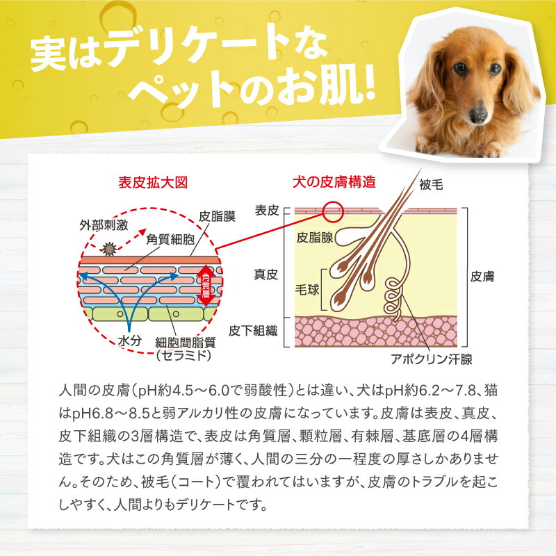 楽天市場 グルーミングタブ10錠入り 重炭酸イオン ペット用 ホットタブ 炭酸泉 犬用 猫用 入浴剤 Daponline