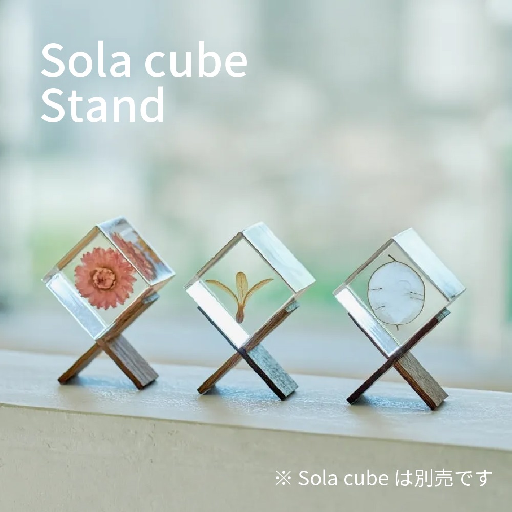 ソラキューブ スタンド 木製 1個用 solacube 台 おしゃれ かわいい 北欧 ナチュラル シンプル インテリア オブジェ 植物 標本 透明 小物 クリア プリズム プレゼント ギフト画像