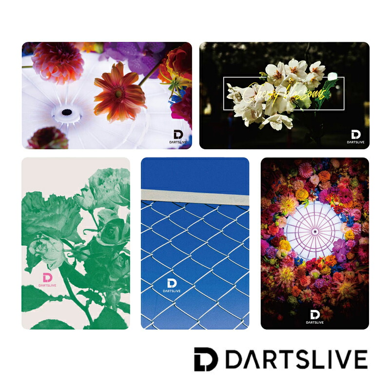 ライブカード&フェニックスカードセット 楽天市場】ダーツ カード エルスタイル×フェニカ 2024 マグニ