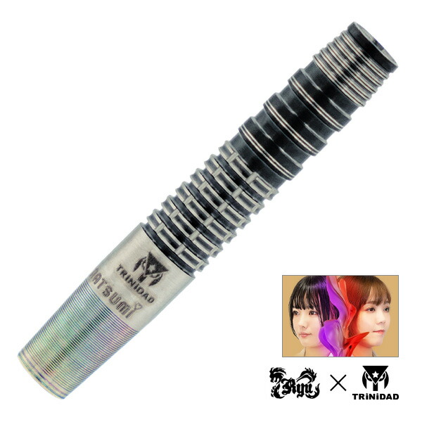 楽天市場】【マラソン限定10%offクーポン】 ダーツ ロメカリ 3 岩田