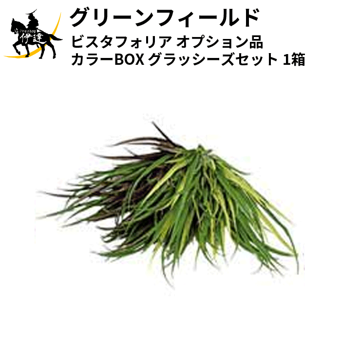 6/11 1:59まで尖んがり2倍 緑であること活動の領域(/I) ビスタフォリア【オプション品】 色つやBOX グラッシーズセット 1箱 [VG-VFLGSET]