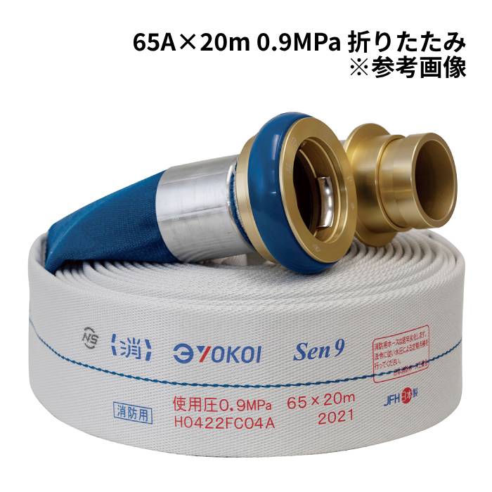 yokoi-55000600.jpg
