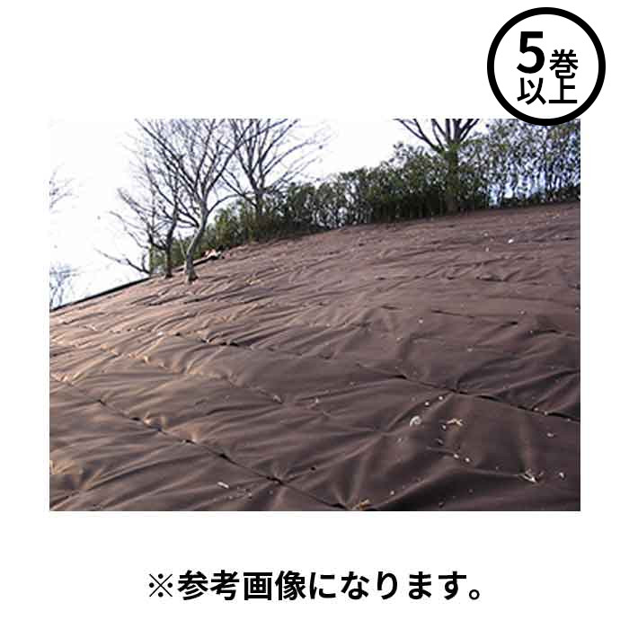 【法人のみ】小泉製麻(/I) 防草シート 緑化ニードルマルチ 2m×50m 5巻以上注文用 曝露 植栽併用 広葉雑草 透水 ブラウン 茶|ProShop伊達 店