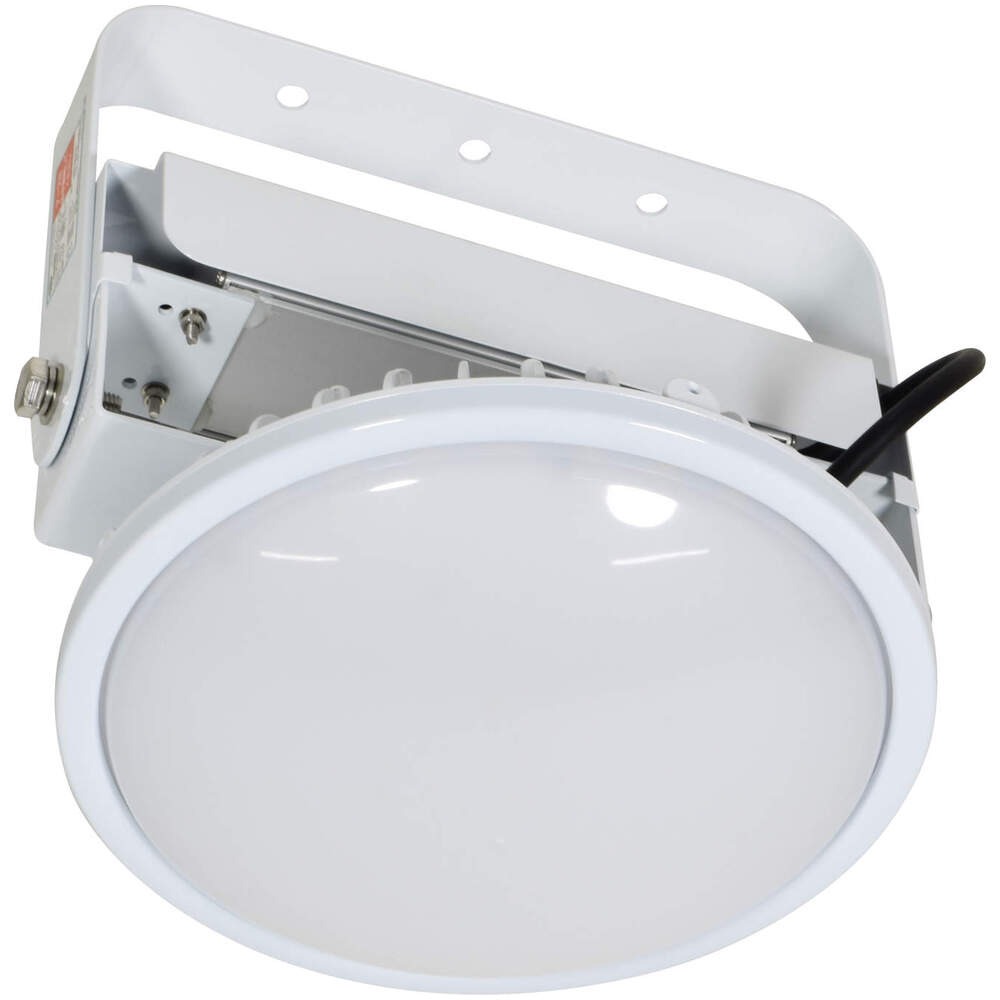 日動工業 (/A) ハイディスク 100W 吊下げ型 屋内・屋外兼用型 AC 100V 200V兼用 常設用 LED 照明 水銀灯400Wクラスの明るさ [L100V2-P-HMW-50K]