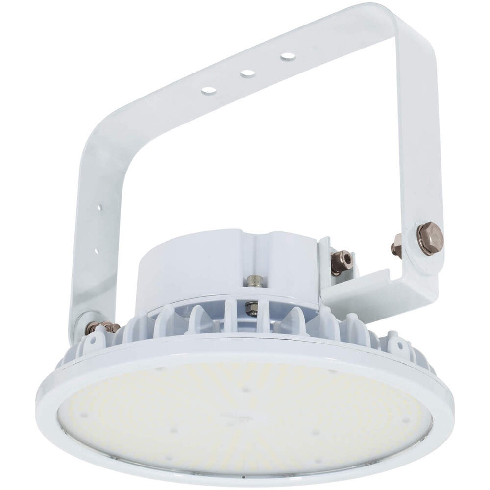 4/10 1:59までポイント2倍 日動工業 (/A) ハイスペックハイディスク 150W 重耐塩仕様 屋内 屋外兼用型 AC100/200V兼用 常設用 LED照明 水銀灯700Wクラス [L150B-P-H110-50K-SAL]