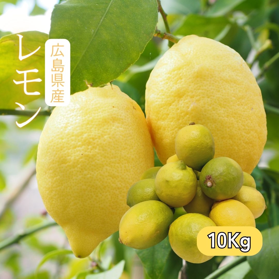 広島県産 