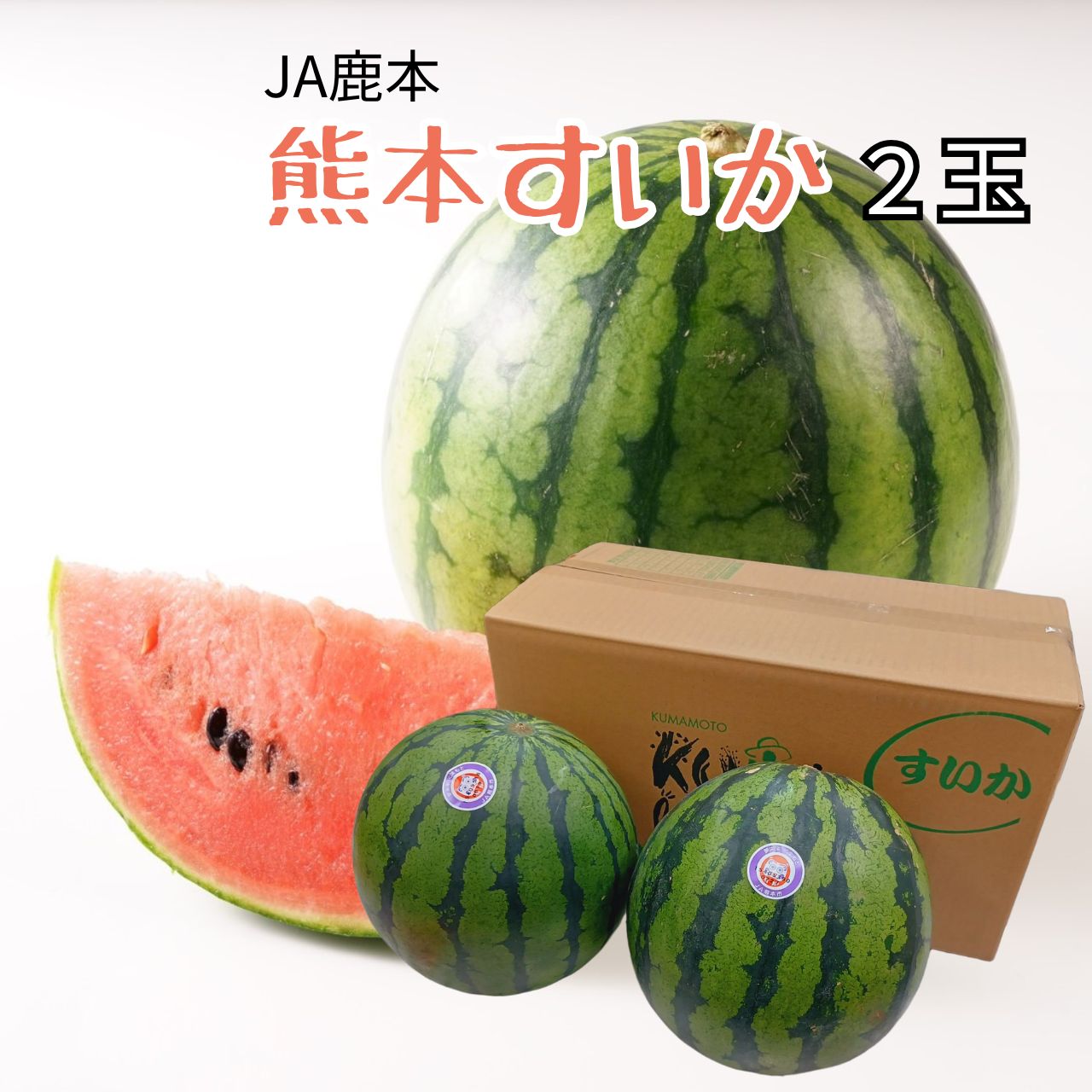父の日ギフト 熊本県 JA鹿本 ”すいか” 秀・優 L 2L 3L 4L 2玉 約14～20kg 【北海道・沖縄・離島以外送料無料】  フルーツ ギフト 贈り物 スイーツ プレゼント お菓子 内祝い 誕生日 お祝い 御礼 快気内祝　母の日 父の日