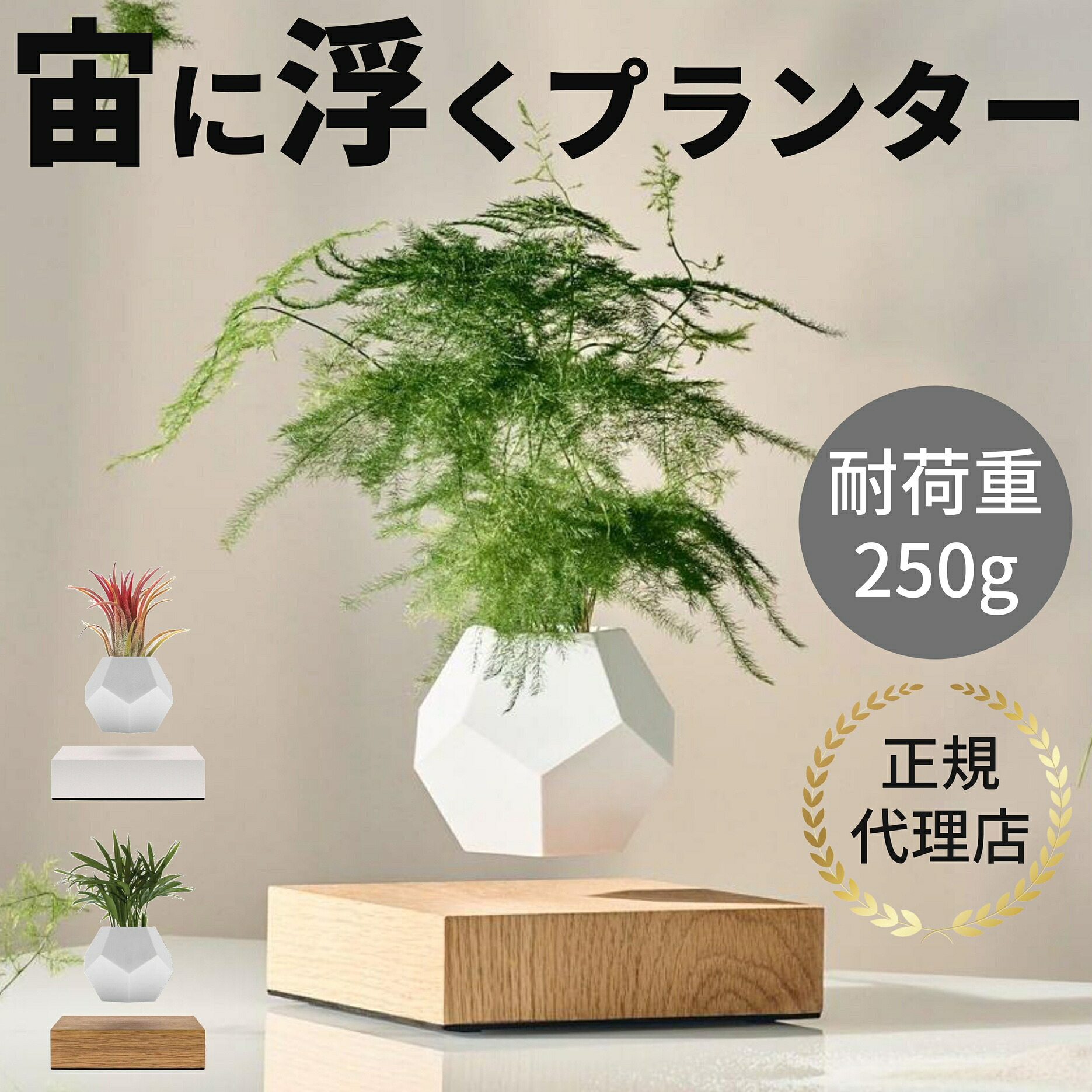 【正規代理店】LYFE ライフ プランター インテリア 鉢植え 植木鉢 小型 ガーデニング 鉢 エアプランツ おしゃれ 北欧 リビング 寝室 フロア 卓上 リビング モダン コンパクト 寝室 ベッドサイド 玄関 置き物 デスク オブジェ ギフト プレゼント 贈り物 ラッピング