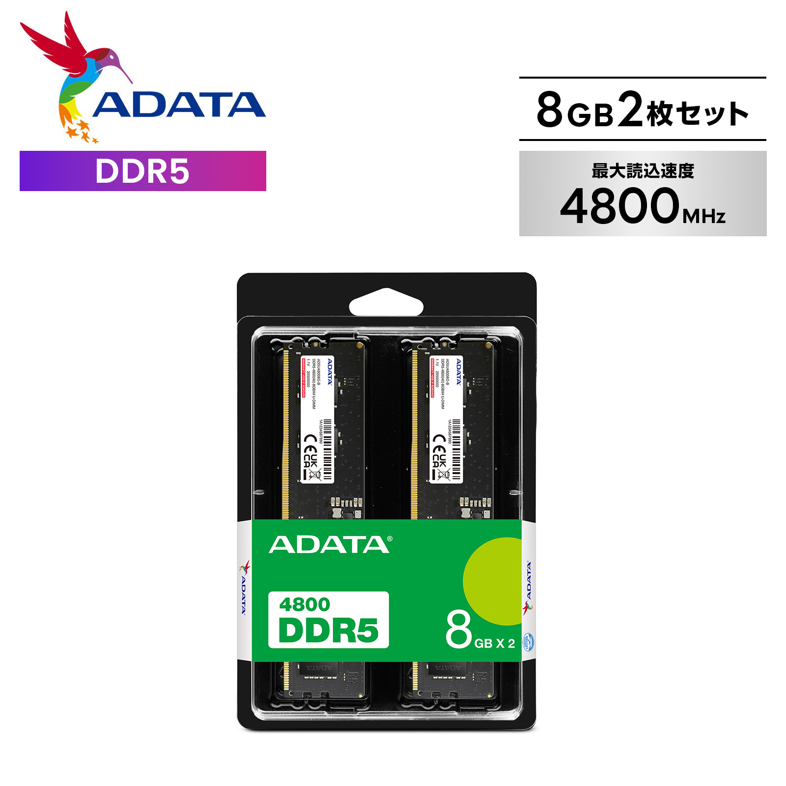 楽天市場】2枚 8gb ×2 ( 16GB ) ddr5 4800 ノート メモリ crucial PC5