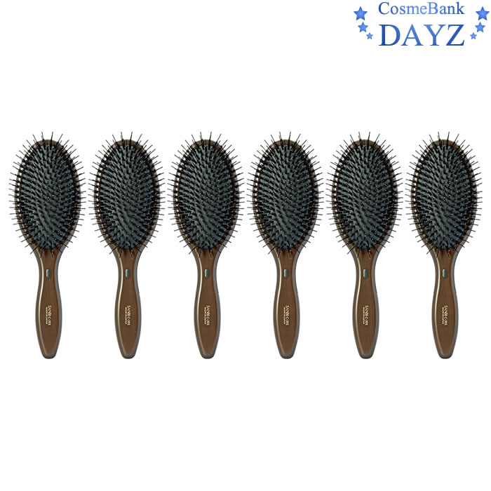 楽天1位 楽天市場 サンビー クッションブラシ C 351 6点セット ヘアブラシ ヘアーブラシ Dayz Web限定 Www Trailconnections Com