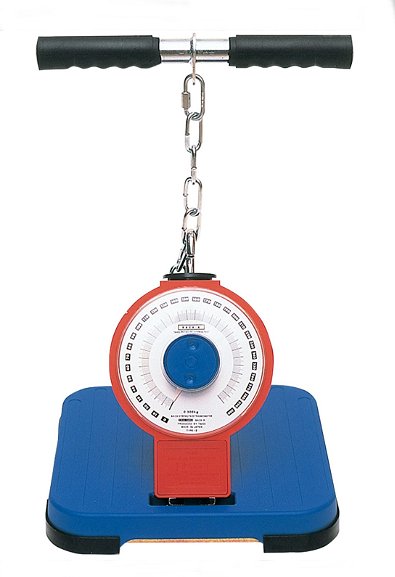 メーカー取り寄せ、 受注後在庫の有無お返事します。 TKK5002 TKKアナログ背筋力計 バックA 測定範囲0～300kg(1kg単位) 日本製