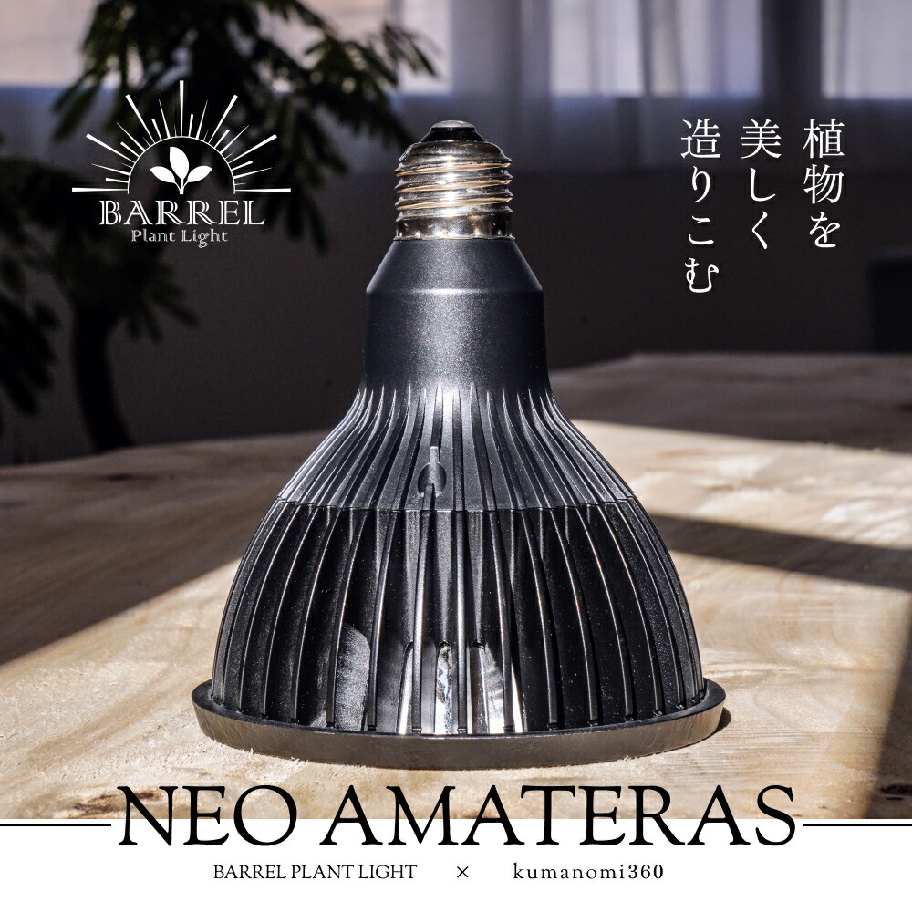 【2個セット】BARREL NEO AMATERAS LED 20W ブラック neoamateras_01.jpg