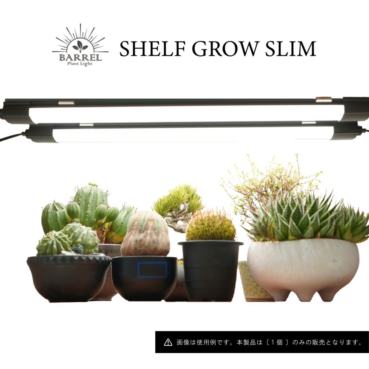 楽天市場】【3年保証】BARREL 植物育成 LED パネルライト【ROKI