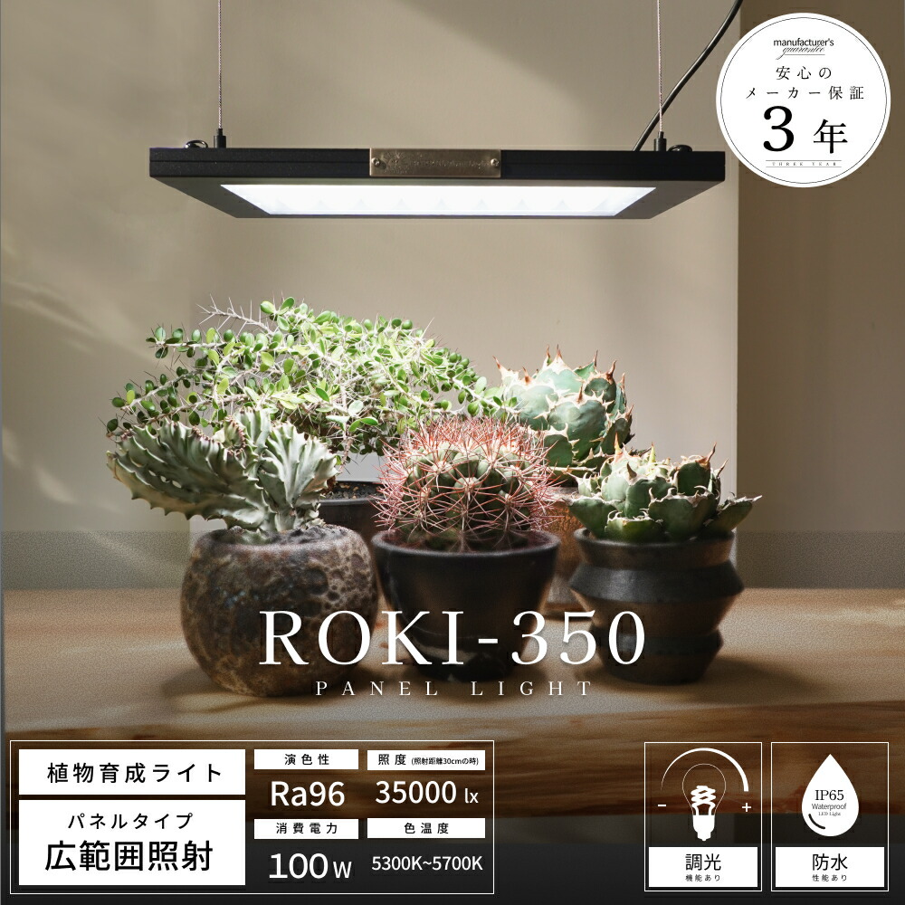 【百貨店大売り出し】尖んがり５倍＋次回使える引き換え証差し上げ物