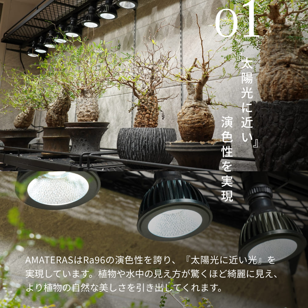 アマテラス　10w  3個セット　植物育成ライト 楽天市場】【3年保証】BARREL公式 植物育成LEDライト【AMATERAS