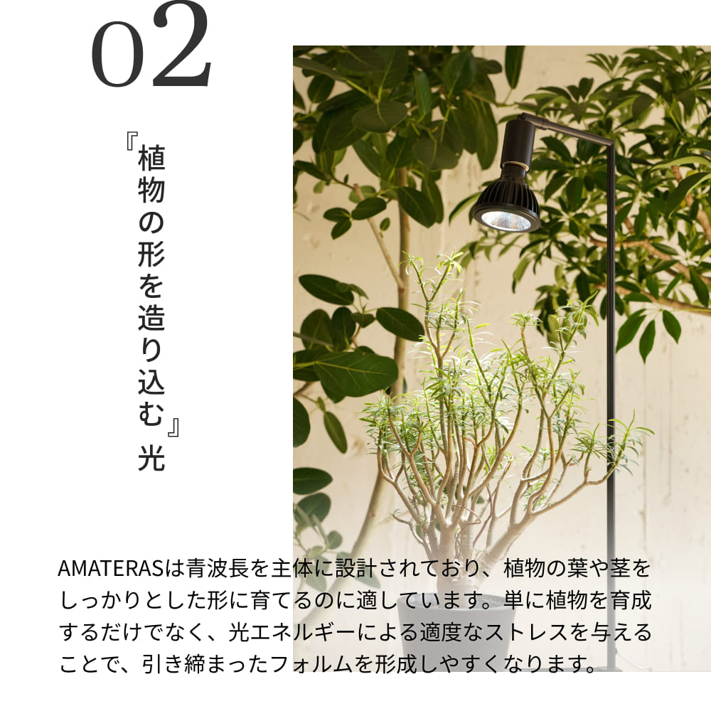3年保証】BARREL公式 植物育成LEDライト【AMATERAS-10W（アマテラス