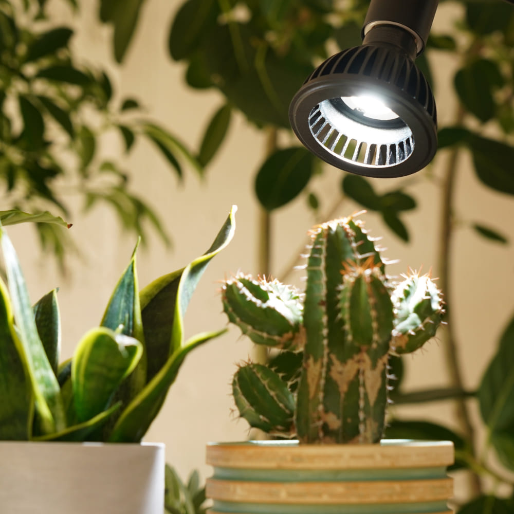 3年保証】BARREL公式 植物育成LEDライト【AMATERAS-10W（アマテラス