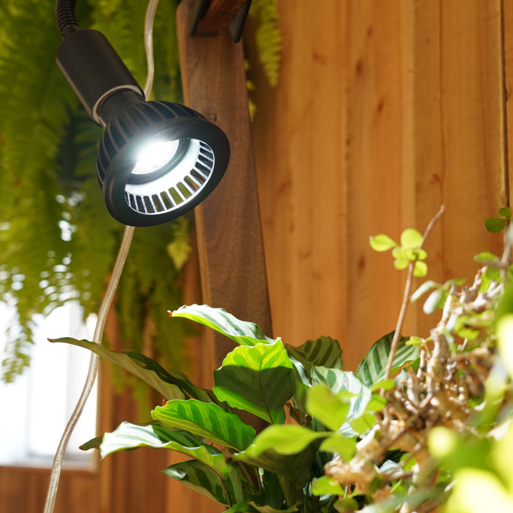 超激レア AMATERASLED 10W LEDライト 4個セット 超お買い得 超激レア AMATERASLED 10W LEDライト 4個セット 超お買い得