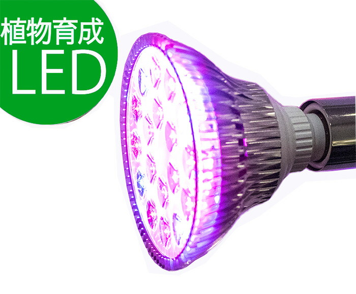 紫色電球 口径E26 PLANTLIGHT18W 観葉植物 植物栽培ライト 正規品送料無料