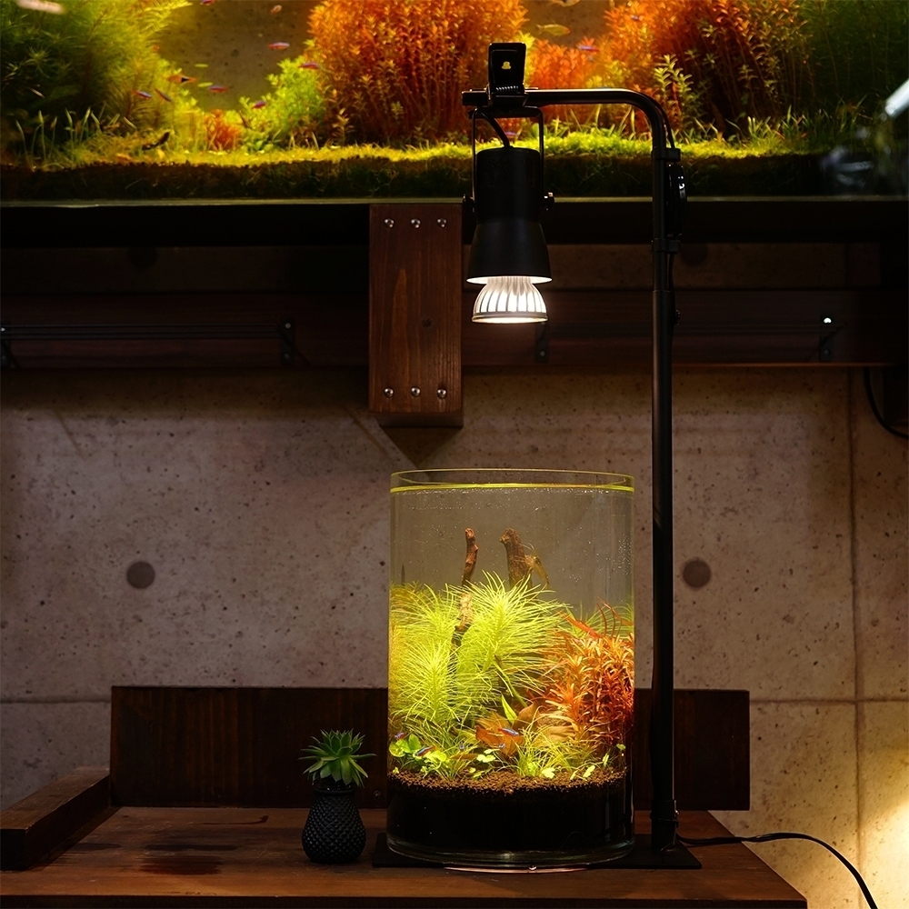 楽天市場 植物育成led Sun 10w 白色電球 口径e26 プラントクリップa Plantlight10w 観葉植物 植物栽培ライト 電球のみ Shopbarrel