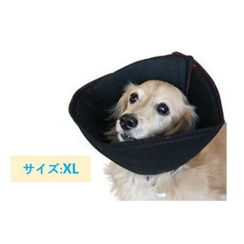 ベッツソフトカラー ＸＬブラック (株)ファンタジーワールド