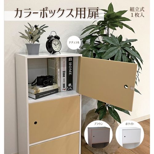 楽天市場】カラーボックス用扉 1枚入り ブラウン BANDO : DCMオンライン