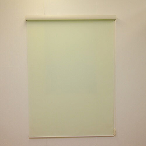 カバー付 ロールスクリーン エクシヴ 無地タイプ グリーン 180×220cm グリーン 180×220cm フルネス