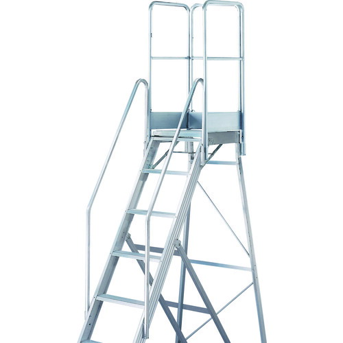 TDAD用フルセット手すり 高さ1100mm 本体高さ2.10m用 TDAD-TF-210-110 TRUSCO