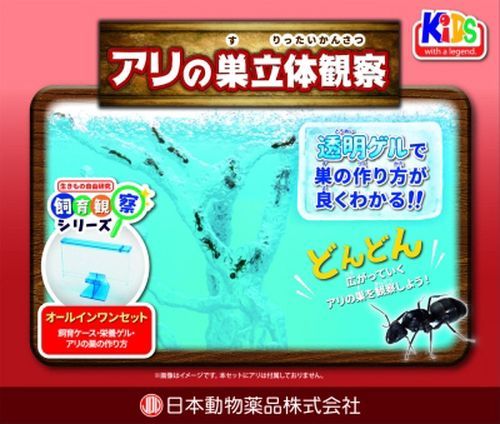 【全種類アリ！レア】キューピー干支シリーズストラップ 12個セット Yahoo!オークション -「キューピー ストラップ レア」の落札相場