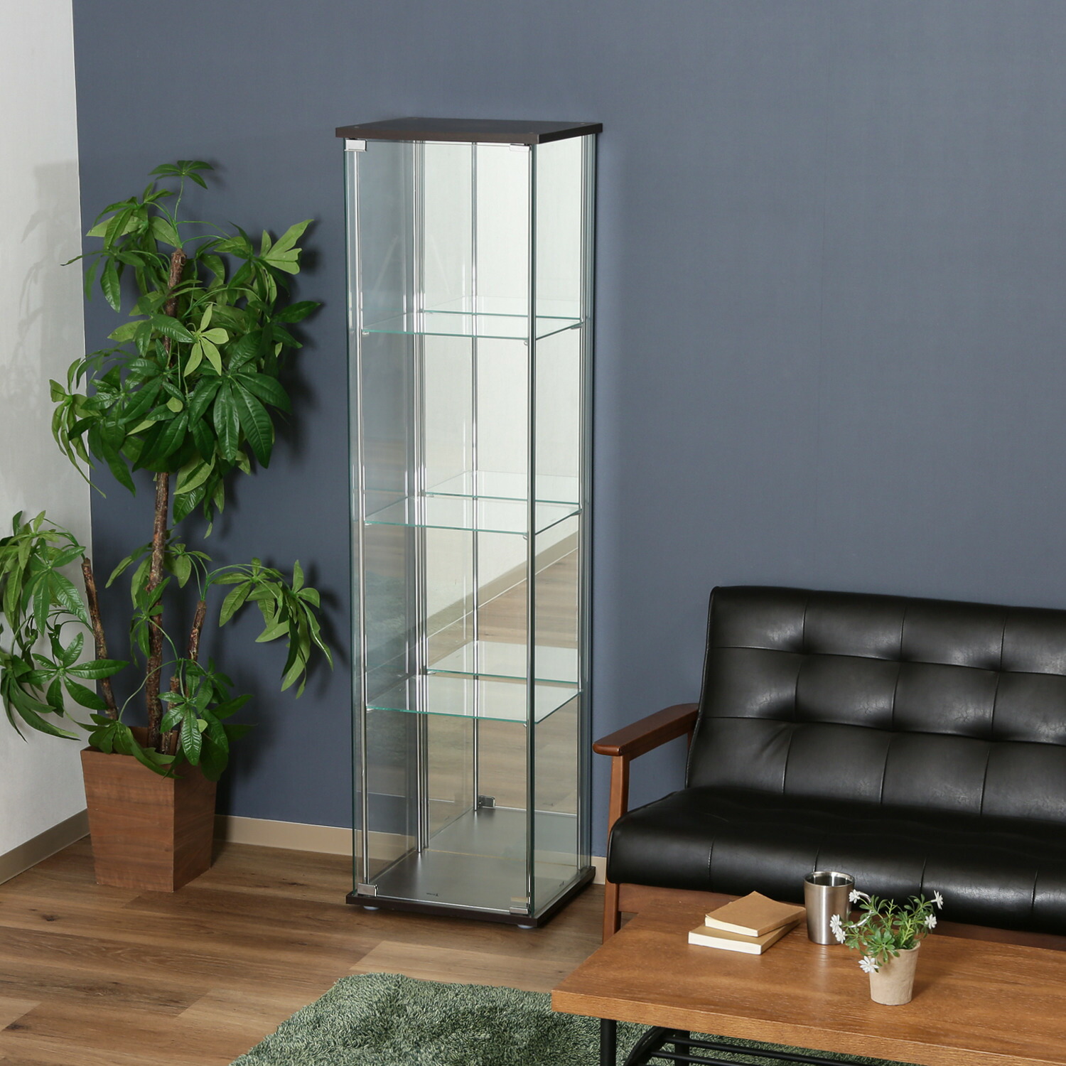 楽天市場】ガラスコレクションケース 3段 96048 不二貿易