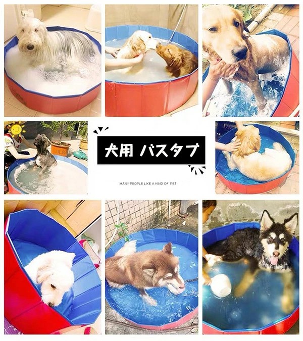 [売れ筋 ] MQHY7D1AVXC (MQHY7D1AVXC)