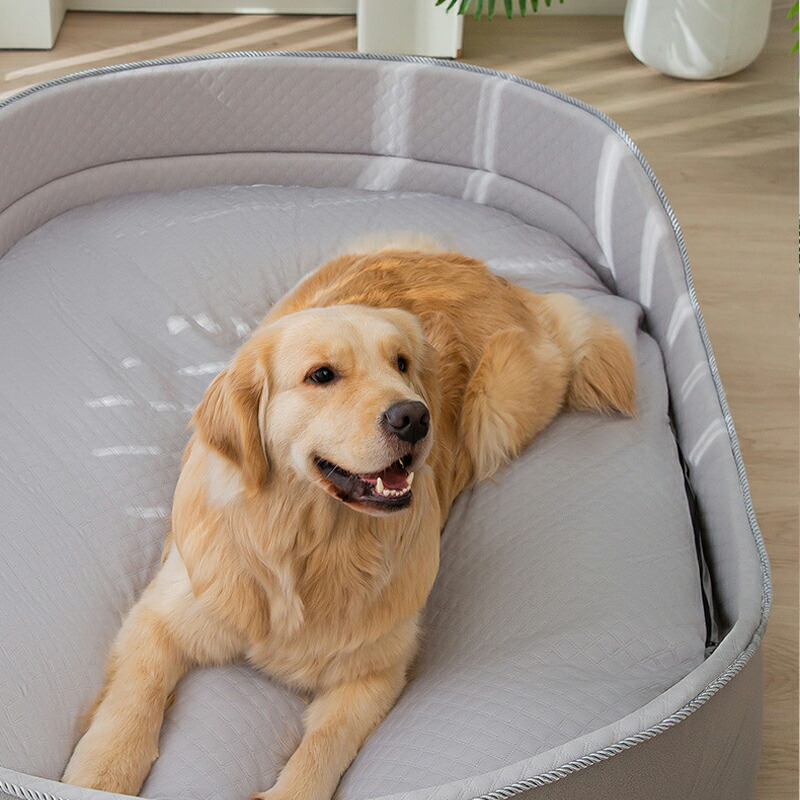ペットベッド 犬マット 犬 猫 夏 猫用 犬用夏 秋冬 冷感 四季通用 通気 水洗い お手入れ簡単 小型犬 中型犬 大型犬 ペットベッド 犬のベッド 高反発 犬 介護ベッド 丈夫 防水 ペット用｜神秘の館