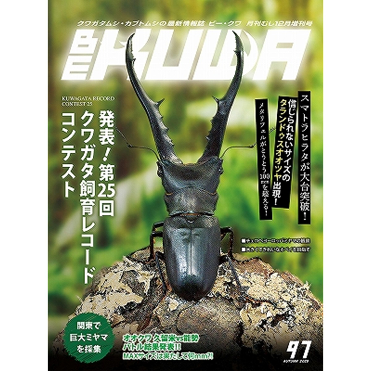 楽天市場】【DDA】BE-KUWA 最新号No88「オオヒラタクワガタ大特集