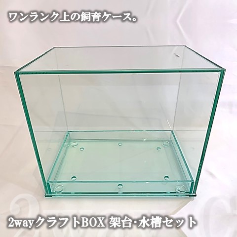 2wayクラフトBOXセット(架台・水槽) dda クワガタ カブトムシ 飼育 ケース 鑑賞 クワリウム クラフトウッド