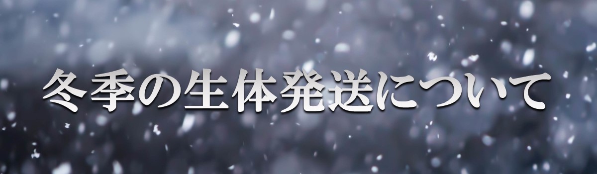 安心の定価販売】 針葉樹圧縮ペレット2.5kg tyroleadership.com