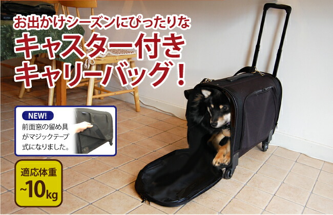 楽天市場 10kgまでの小型犬用 猫用 ペットキャリー キャリーバッグnew M 送料無料 犬の洋服屋さん 楽天市場店