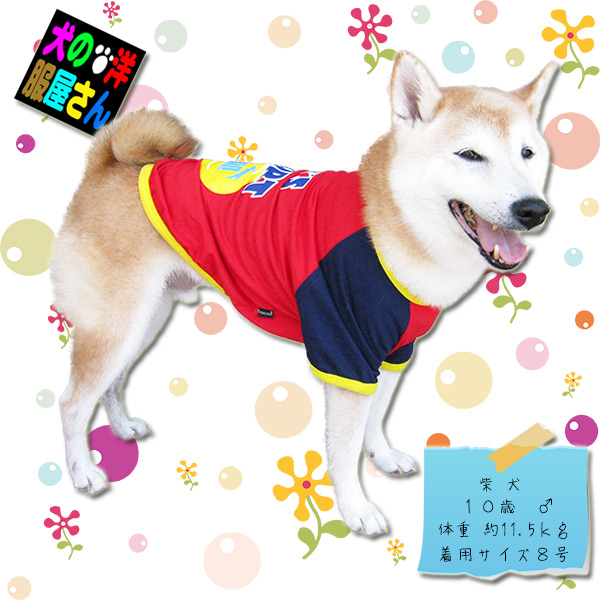 【楽天市場】犬服 Puwan Tシャツ Lets Sport（小型犬用）【犬の服2点購入でメール便送料無料】ドッグウェア チワワ トイ