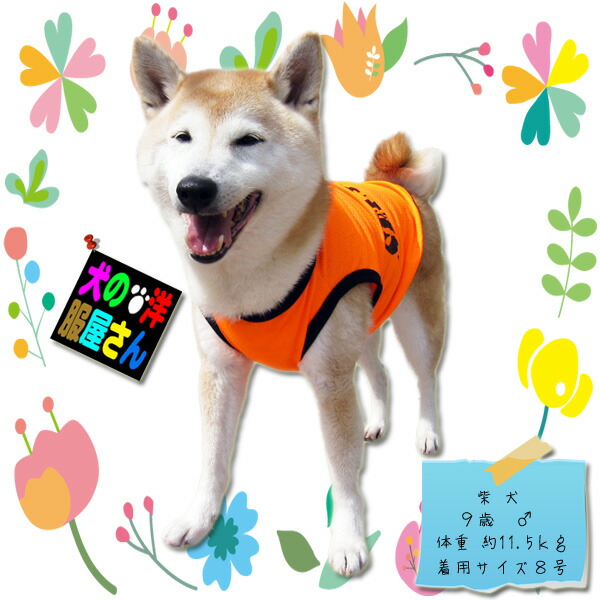 犬服 メッシュタンクトップ SECURITY フレブル等 ヨークシャテリア 