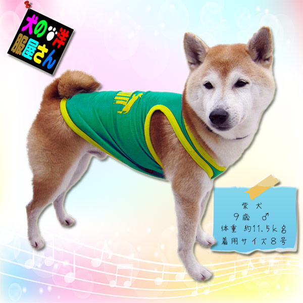 【楽天市場】犬服 Puwan メッシュタンクトップ ランニングタイプ（中型犬用）【犬の服2点購入でメール便送料無料】ドッグウェア 柴犬