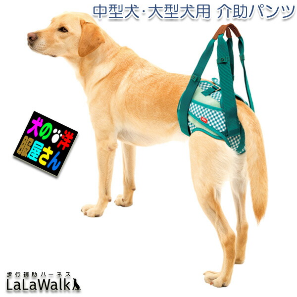 期間限定送料無料 犬 Lalawalk介助パンツ ガーデン グリーンチェック 中型犬 大型犬用介護用品 オムツカバー 歩行補助ハーネス ララウォーク ギンガムチェック 株式会社トンボ With 犬用品 Wd 2ta0081 Acropolis In