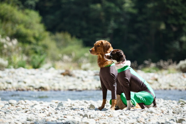 犬服 撥水性とストレッチ性の高い高機能ドギースーツ Matcha 中型犬 大型犬用 アクティブワン ゴールデンレトリバー ラブラドールレトリバー シェパード ドーベルマン ボーダーコリー ダルメシアン シベリアンハスキー トンボ With Natboardmcqs Com